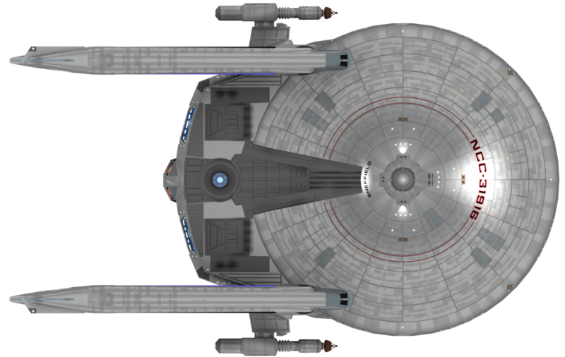 File:Sheffield (ventral).png