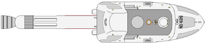 Turing (UESS) (dorsal).png