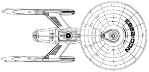 Youngblood (dorsal).png