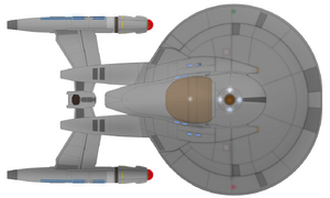 Manos (ventral).png