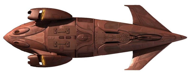 File:Tshin (ventral).jpg