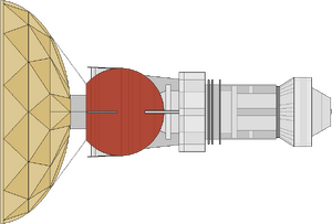 AFP-1 (ventral).png