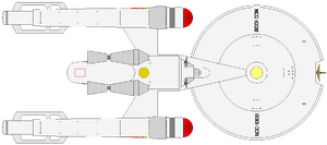 Advance (ventral).png