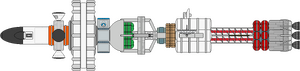 TAU One (ventral).png
