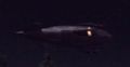 Landing