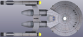 Dorsal