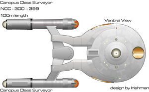 Canopus surveyor (ventral).png