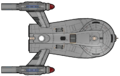 Dorsal