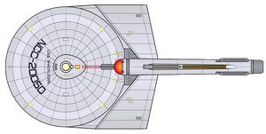 Shackleton (2265) (dorsal).png