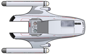 D-17 Freeman (dorsal).png