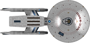 Abbe (dorsal).png