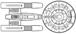 Decker (dorsal).png