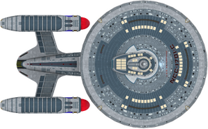 Ambassador (dorsal).png