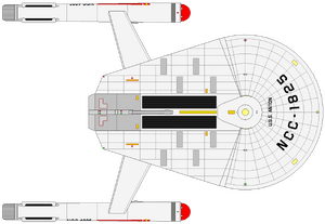 Anton (dorsal).png
