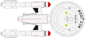 Advance (dorsal).png