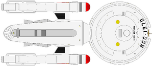 Archon (dorsal).png