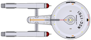 Constitution (typical) (dorsal).png
