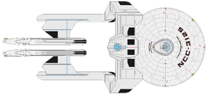 Northampton (dorsal).png