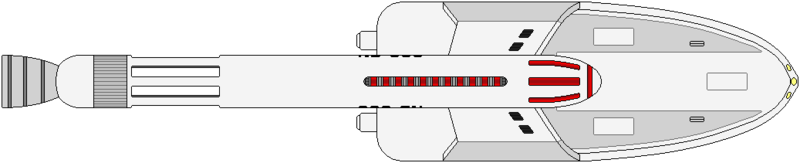 File:Cavalry (ventral).png