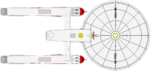 NX Constitution (ventral).png