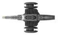 Taholsin (dorsal)