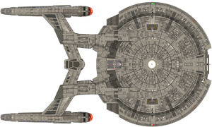 NX cruiser (ventral).png