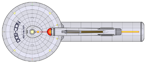 Nealson (2265) (dorsal).png