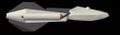 Thumbnail for version as of 05:32, 12 January 2014