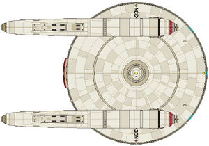 Burke Flt II (ventral).png