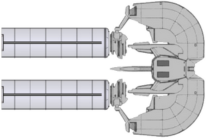 Kethkin (dorsal).png