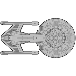 Kolm-An (ventral).png