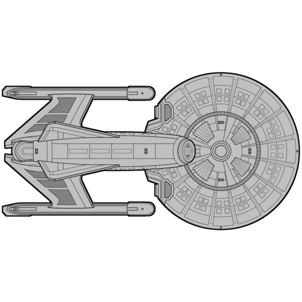File:Kolm-An (ventral).png