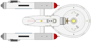 Bonaventure -099 -1 (ventral).png