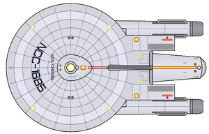 Chessel (2265) (dorsal).png