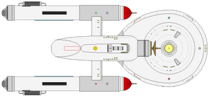 Bonaventure -099 -4 (ventral).png