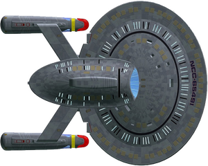 New Orleans (ventral).png