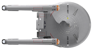 Surya 2265 (ventral).png
