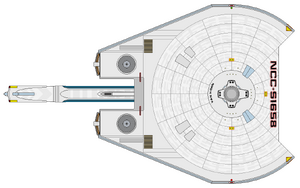 Niffen (ventral).png