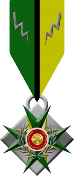 File:UESN Lifesaving medal.png