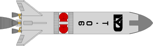DY-T (ventral).png
