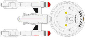 Horizon (dorsal).png