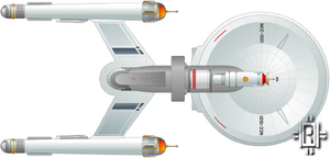 Trigwell's Procyon (ventral).png