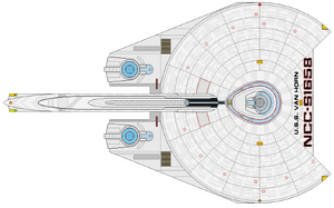 Niffen (dorsal).png