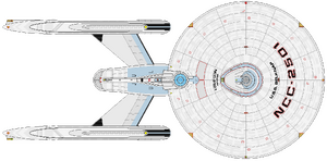 Belknap (dorsal).png