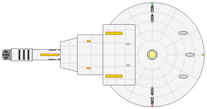Trent (2214) (ventral).png