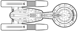 Wellesley (dorsal).png