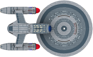 Ambassador (ventral).png