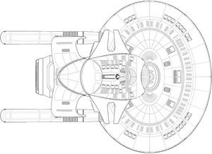 Springfield (ventral).png