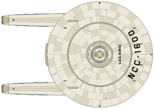 Burke (dorsal).png