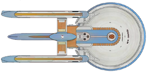 Medusa (dorsal).png